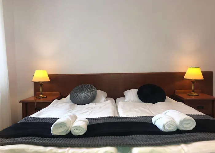 Willa Anna - Pokoje Goscinne Apartment Goczalkowice-Zdroj